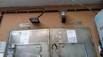 歐陽路街道新增132套“微改造”照明設施，點亮便捷生活新圖景